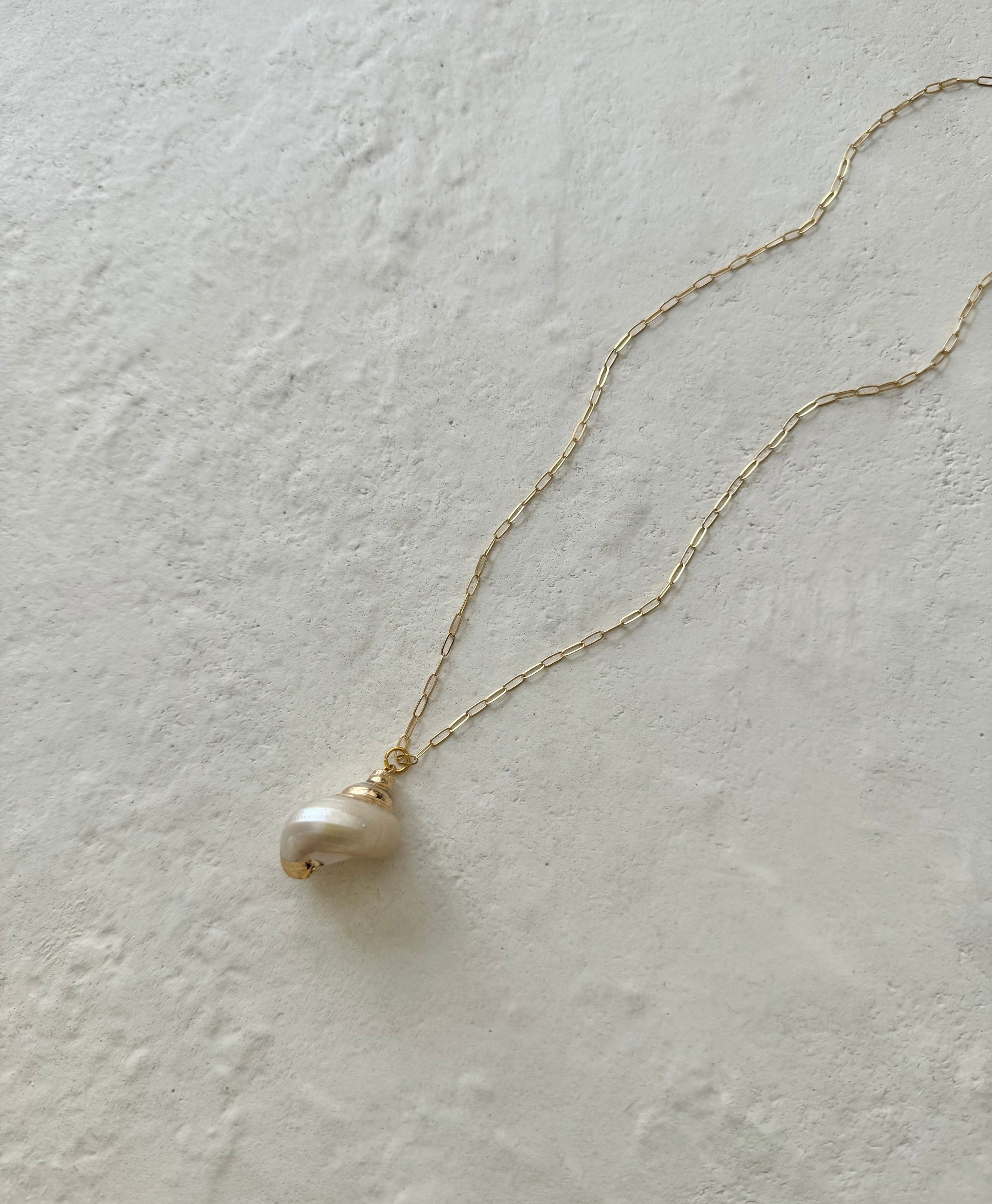 Datile Paperclip Chain Shell Pendant Necklace